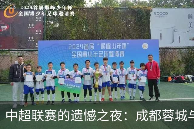 中超联赛的遗憾之夜：成都蓉城与青岛海牛的命运交错